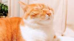 非常事態で何もしないことの大切さ