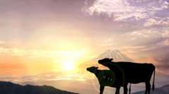 ドル建て日経平均がバブル最高値更新！ ドル建て日経平均に投資した方が儲かるの！？