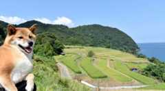 早期リタイア後に住む場所が悩ましい