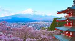 「読売333」について読売新聞一面に水瀬のコメントが掲載。構成企業は株主価値の向上と株価上昇に向けてがんばって