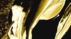 株式と債券の相関が高まる時代に、金（ゴールド）保有を考えてみる