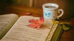 会計の世界史(田中靖浩著)、夫婦でFIRE(グミ＆パン著)、お金は寝かせて増やしなさい(水瀬ケンイチ著)など、最大50％OFF Kindle本読書の秋キャンペーン実施中