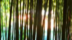 継続への道、インデックス投資の基本的マインドセットとは