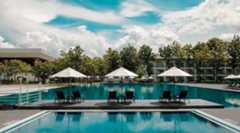 NISA買い付け額が41兆円突破! 追い風の今こそ見直す資産配分