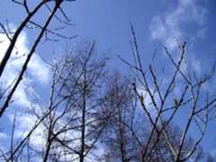 草津温泉でスッキリ