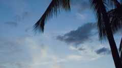 ちょっと早い夏休みをいただきます