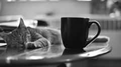 なぜ10年以上インデックスファンドのバイ＆ホールドを継続できたのか