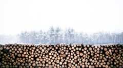 金融リテラシーを測る5つの質問