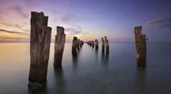 仕事でひいこらひいこら言いながらも資産運用は勝手に続いていく