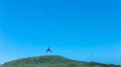 楽天証券の個人型DC商品ラインナップのコア資産クラスは「たわらノーロード」シリーズ。「口座管理手数料無料プログラム」のハードルも下がった！