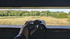 野鳥観察の秋がやってきた。ついに年パス購入