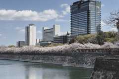 2025年4月8日