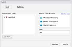 Deploy a Shiny document to ShinyApps.io.