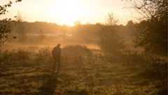 Over ons: Persoon wandelt vroeg in de ochtend door nevelig natuurgebied in Brabant.