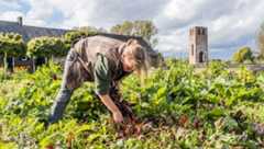 Over ons: Vrouw oogst groenten in moestuin met kerktoren op achtergrond in Brabant.