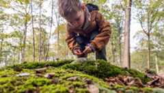 Jongetje onderzoekt mos en paddenstoelen op bosgrond in natuurgebied in Brabant.