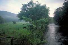 Farm in Towns County