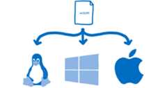 A .wasm file running across three different operating systems
