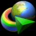 Internet Download Manager (idm)