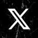 X (Twitter)