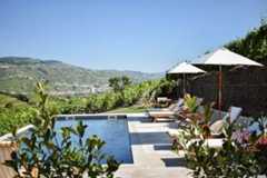 Pool area with chairs and umbrellas.