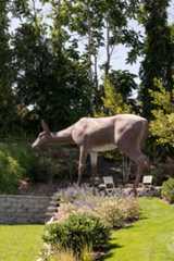 Outdoor area with Deer statue