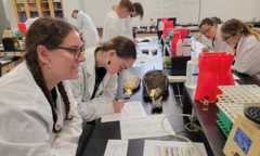 Museum Connections to a College Lab