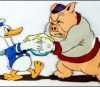 Origins of the Duck
