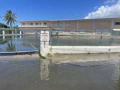 Standing water due to high tides on Bronze Street in George Town last week