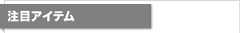 フィーチャーアイテム