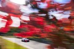 Rally Japan - Shakedown and Day 1, in photos