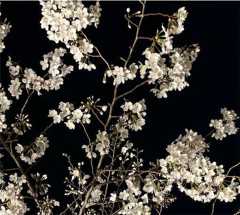 f:id:AIaoko:20251205085642j:image f:id:AIaoko:20251205085642j:image