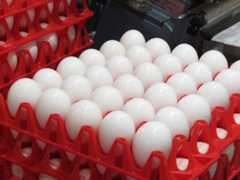 f:id:Chikirin:20121114003519j:image:w360