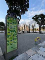 f:id:MadameSoleil:20251213145239j:image f:id:MadameSoleil:20251213145239j:image