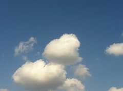 f:id:Magnoliarida:20121027235841j:image