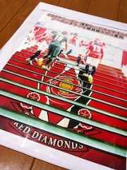 f:id:Magnoliarida:20121028011539j:image