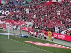 f:id:Magnoliarida:20121028113319j:image