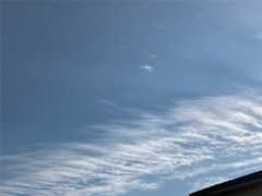 f:id:Magnoliarida:20201228102444j:image