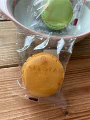 f:id:Magnoliarida:20201228110202j:image