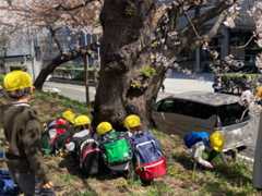 f:id:Magnoliarida:20210324133719j:image