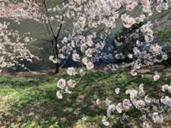 f:id:Magnoliarida:20210324133856j:image