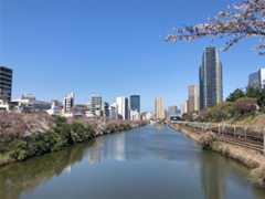 f:id:Magnoliarida:20210324133900j:image