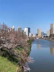 f:id:Magnoliarida:20210324134011j:image