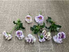 f:id:Magnoliarida:20210328140738j:image