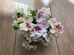 f:id:Magnoliarida:20210328140742j:image