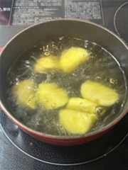 f:id:Magnoliarida:20250514083427j:image