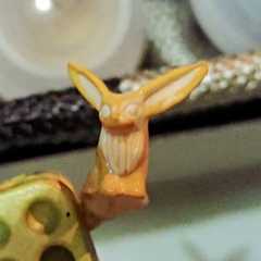 f:id:MonroeAkira:20240716231926j:image