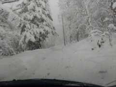 f:id:MonroeAkira:20251215091047j:image f:id:MonroeAkira:20251215091047j:image