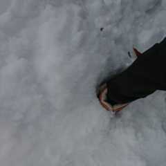 f:id:MonroeAkira:20251215102743j:image f:id:MonroeAkira:20251215102743j:image