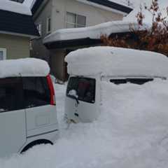 f:id:MonroeAkira:20251215102808j:image f:id:MonroeAkira:20251215102808j:image